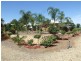 1 Shepherd Drive, Paringa SA 5340