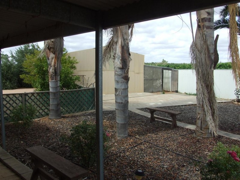 599 Ral Ral Avenue, Renmark SA 5341