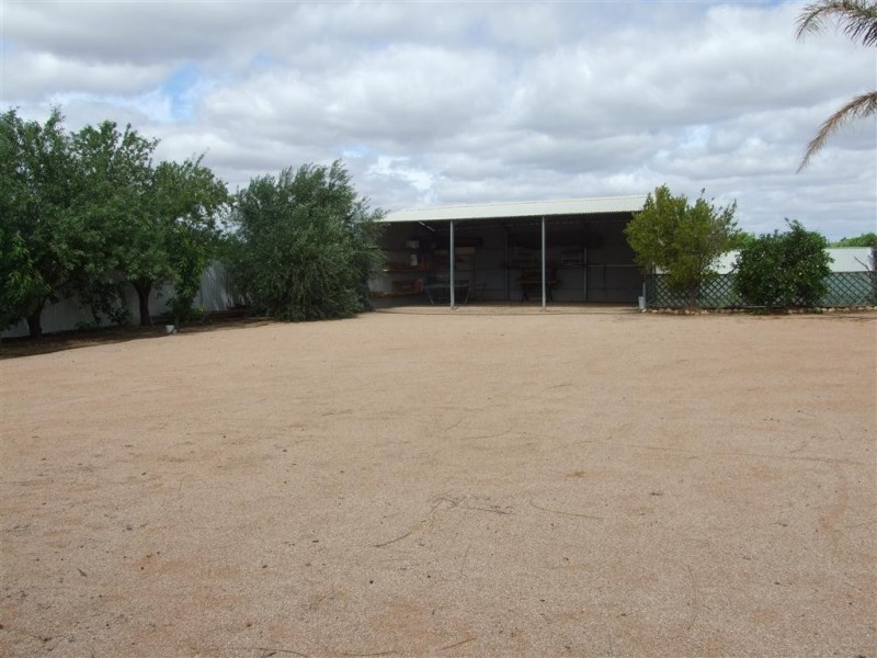 599 Ral Ral Avenue, Renmark SA 5341