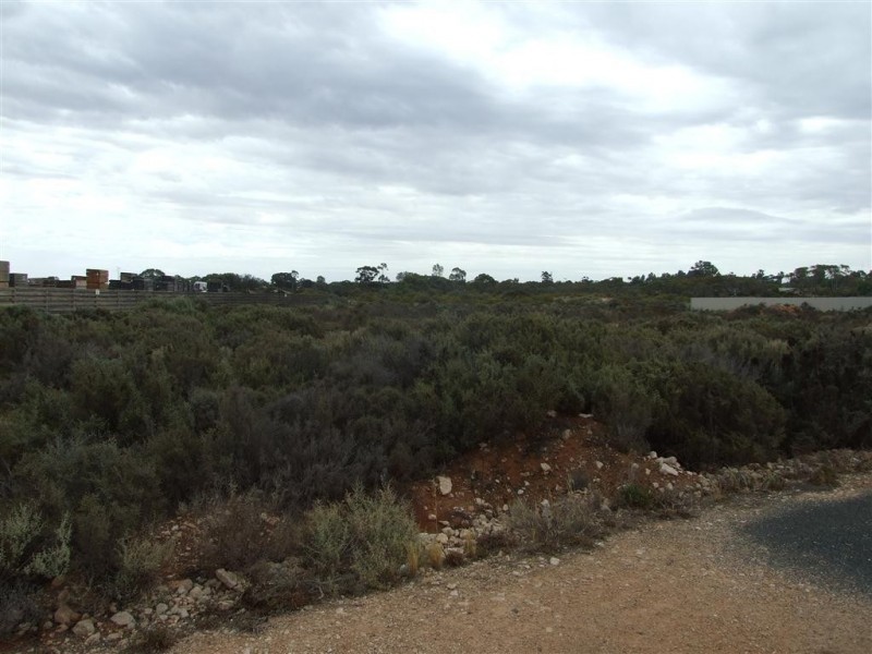 Lot 100 Turnbull Terrace, Glossop SA 5344