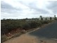Lot 100 Turnbull Terrace, Glossop SA 5344