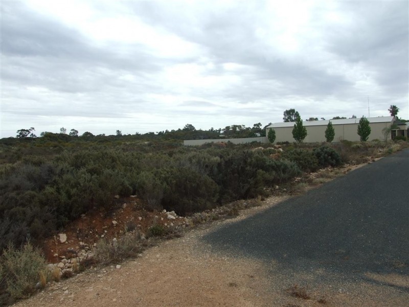 Lot 100 Turnbull Terrace, Glossop SA 5344