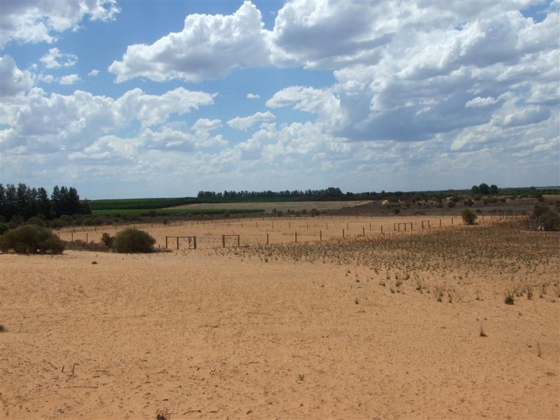 158 Nicholls Road, Renmark SA 5341