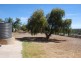 Lot 19 Rover Crescent, Paringa SA 5340