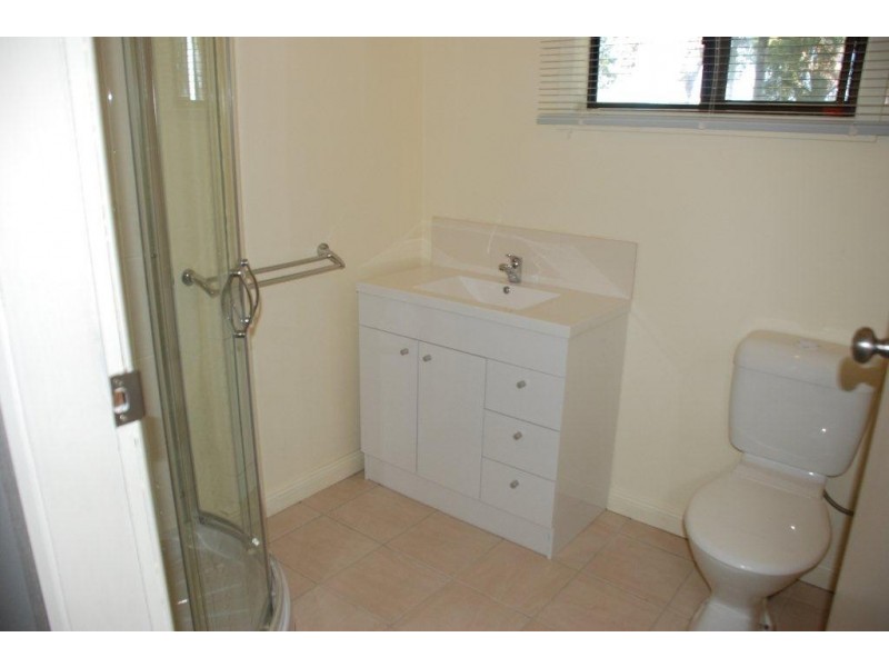 158 Paroo Street, Renmark SA 5341