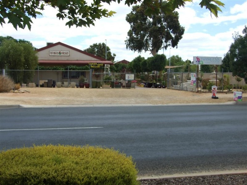 36 Bookpurnong Terrace, Loxton SA 5333