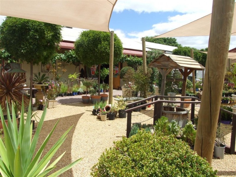 36 Bookpurnong Terrace, Loxton SA 5333