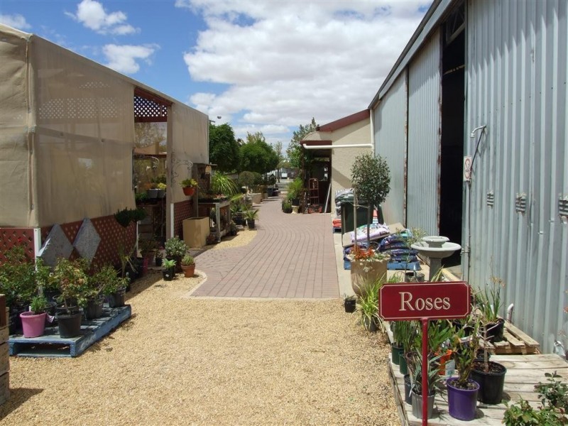 36 Bookpurnong Terrace, Loxton SA 5333