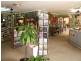 36 Bookpurnong Terrace, Loxton SA 5333