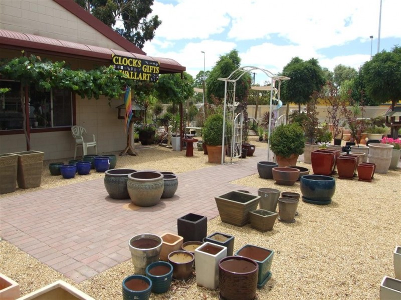 36 Bookpurnong Terrace, Loxton SA 5333