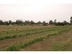 Lots 95 and 96 Renmark Ave, Renmark SA 5341
