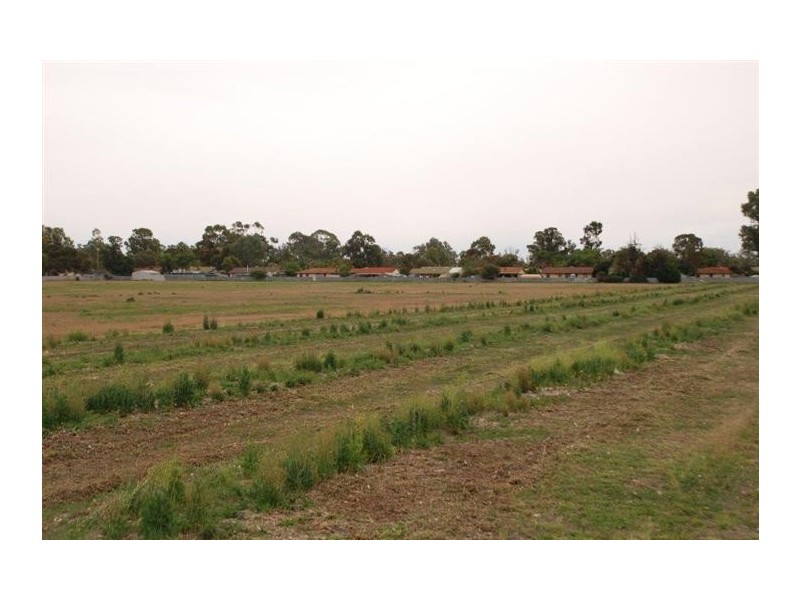 Lots 95 and 96 Renmark Ave, Renmark SA 5341