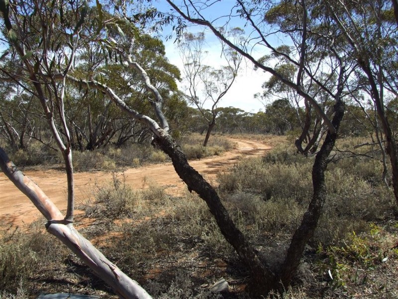 Lot 2 Sturt Highway, Kingston On Murray SA 5331