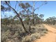 Lot 2 Sturt Highway, Kingston On Murray SA 5331