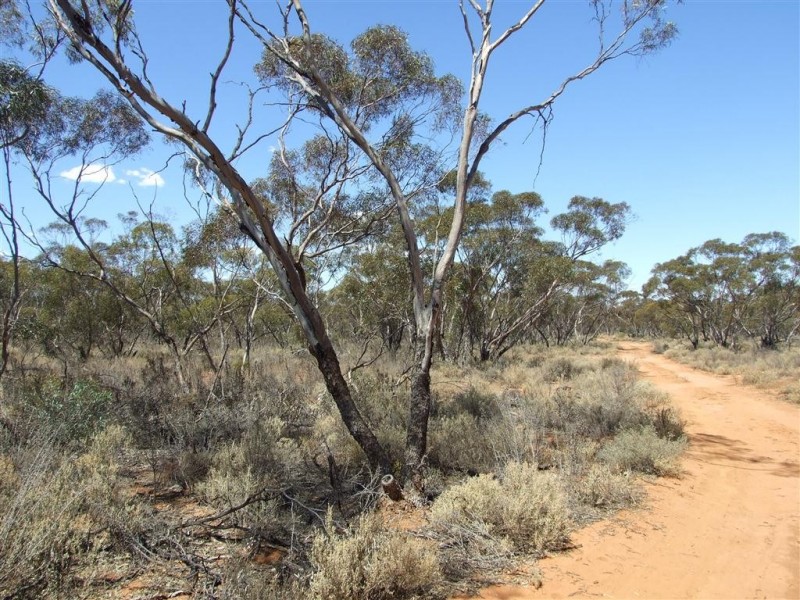 Lot 2 Sturt Highway, Kingston On Murray SA 5331