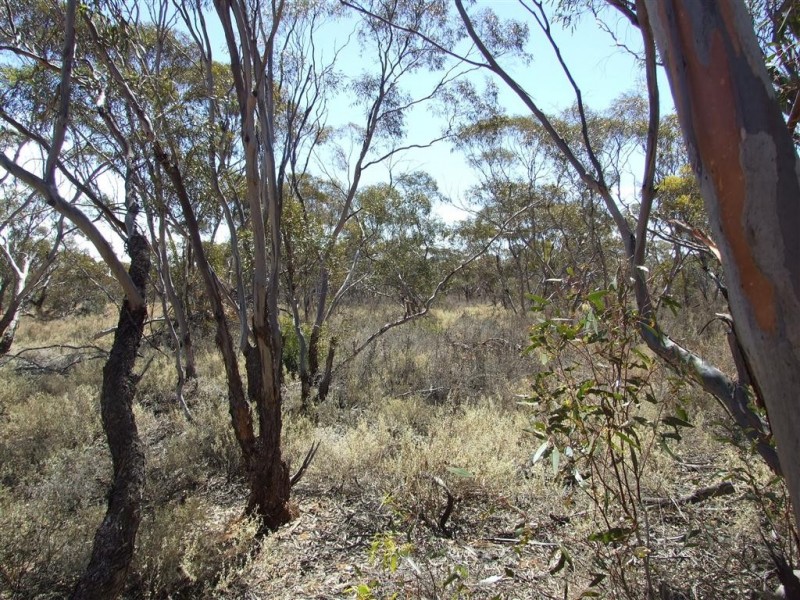 Lot 2 Sturt Highway, Kingston On Murray SA 5331