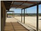 390 Nitschke Road, Loxton SA 5333