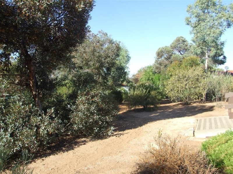 19 Aitken Street, Berri SA 5343