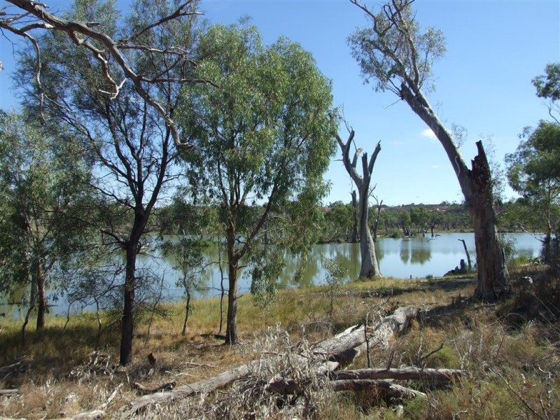 Lot 21 Carter Road, Waikerie SA 5330
