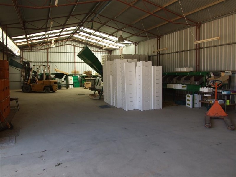 Lot 21 Carter Road, Waikerie SA 5330