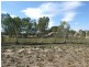 Lot 21 Carter Road, Waikerie SA 5330