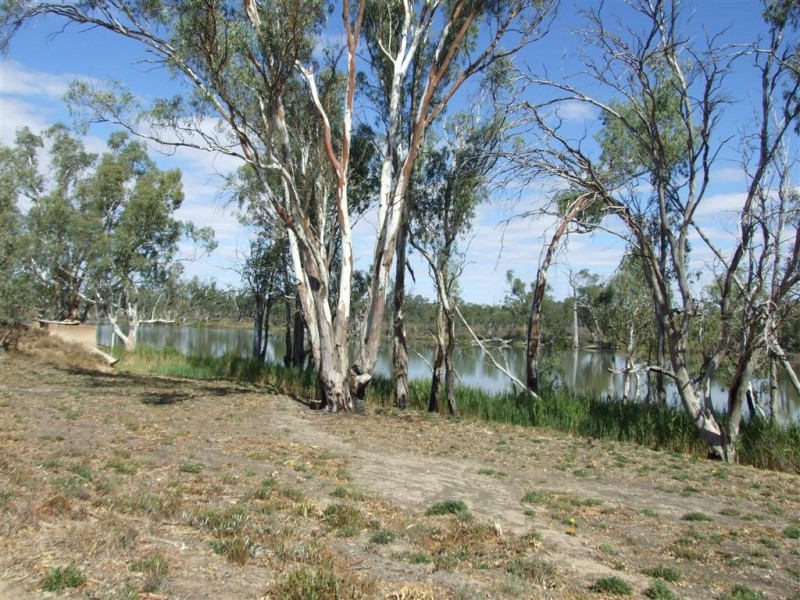 Lot 21 Carter Road, Waikerie SA 5330