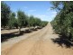 Lot 21 Carter Road, Waikerie SA 5330