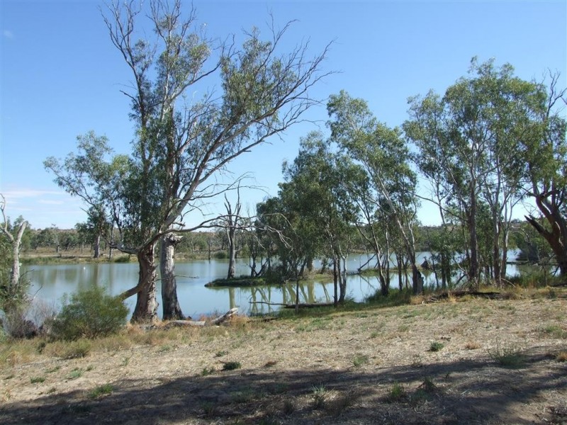 Lot 21 Carter Road, Waikerie SA 5330