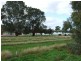 372 Holmes Road, Kingston On Murray SA 5331