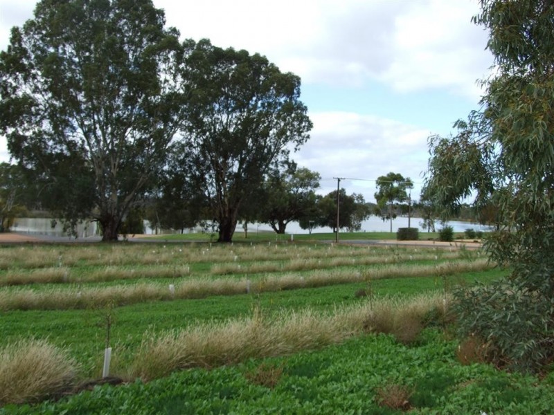 372 Holmes Road, Kingston On Murray SA 5331