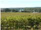 372 Holmes Road, Kingston On Murray SA 5331