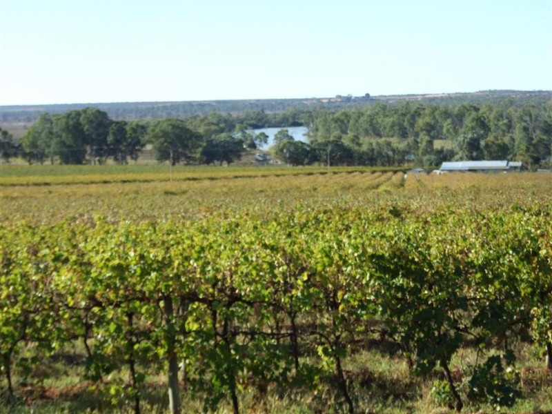 372 Holmes Road, Kingston On Murray SA 5331