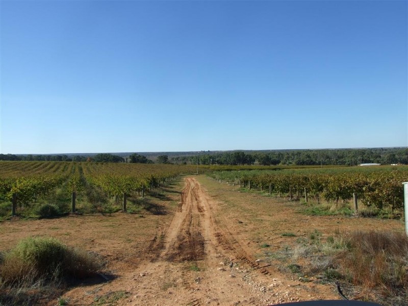 372 Holmes Road, Kingston On Murray SA 5331
