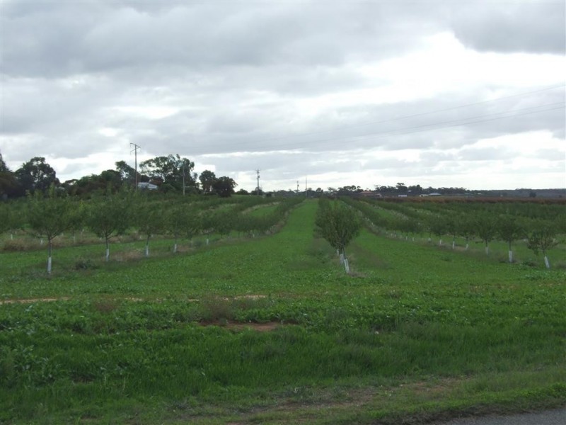 372 Holmes Road, Kingston On Murray SA 5331
