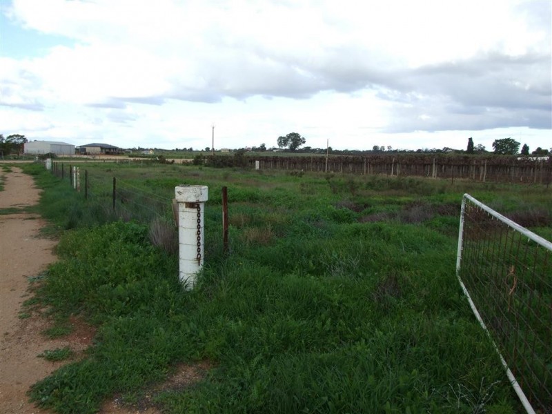 61 Jones Road, Barmera SA 5345