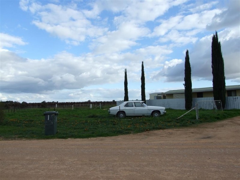 61 Jones Road, Barmera SA 5345