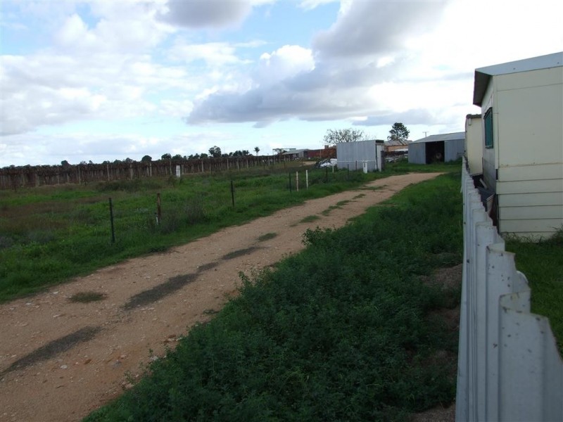 61 Jones Road, Barmera SA 5345