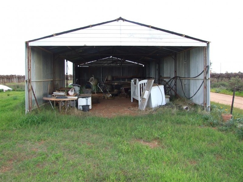 61 Jones Road, Barmera SA 5345