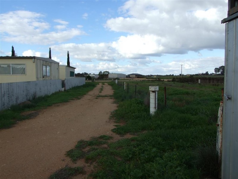 61 Jones Road, Barmera SA 5345