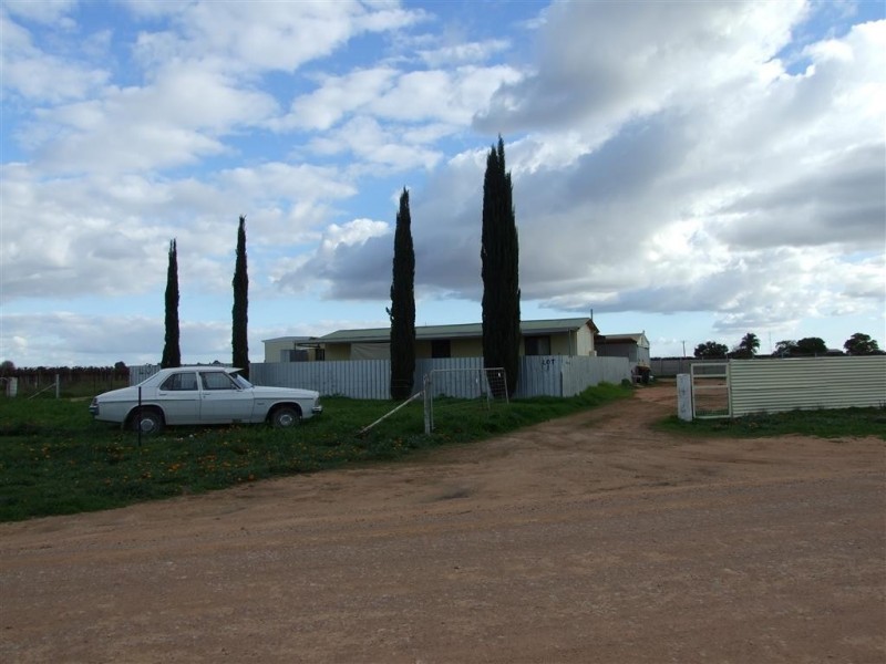 61 Jones Road, Barmera SA 5345