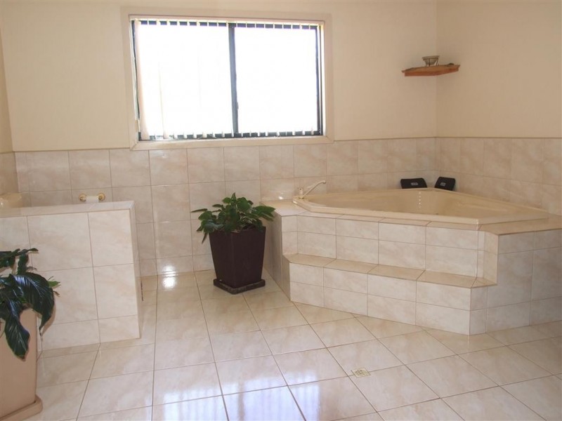 93 Government Road, Renmark SA 5341