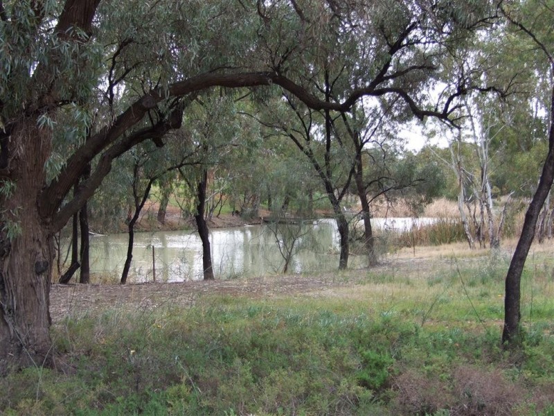 9 New Landing Way, Renmark SA 5341