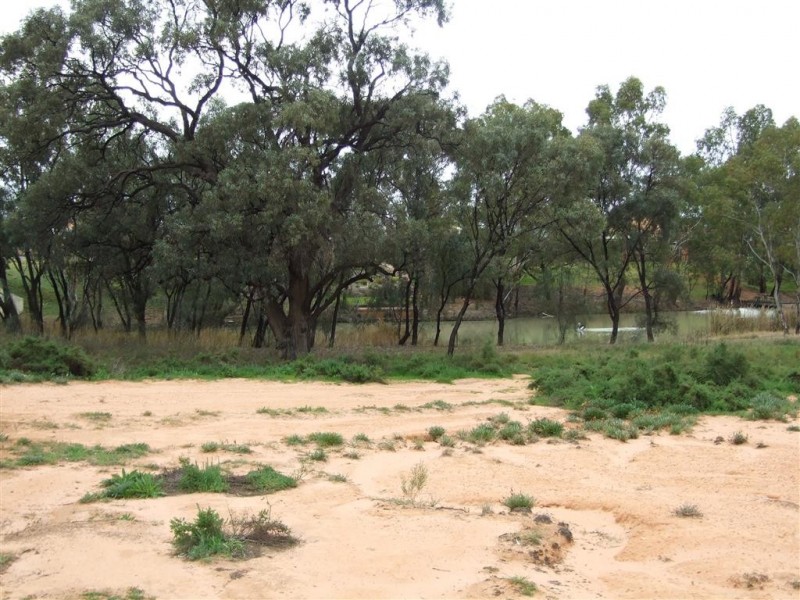 9 New Landing Way, Renmark SA 5341