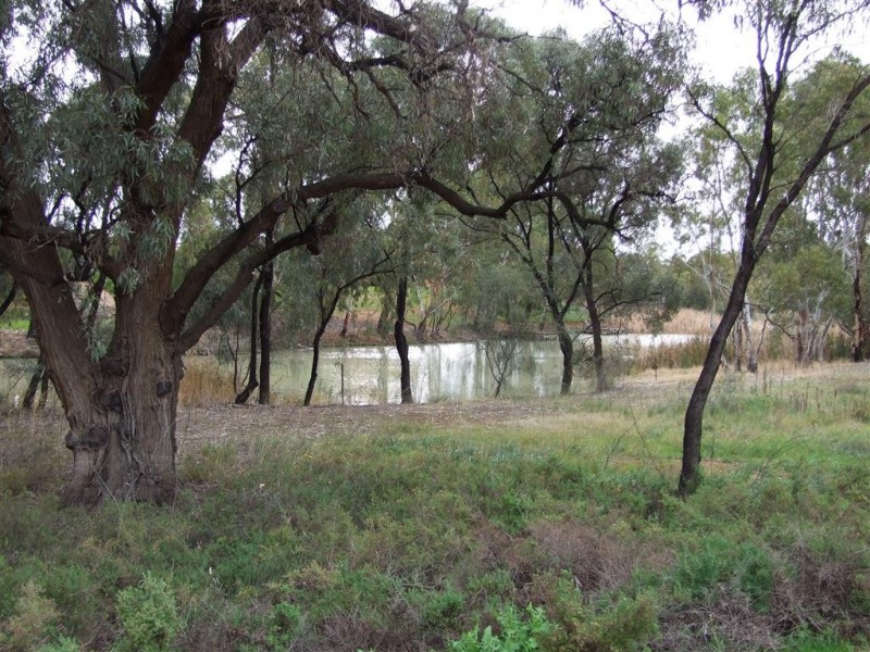 9 New Landing Way, Renmark SA 5341