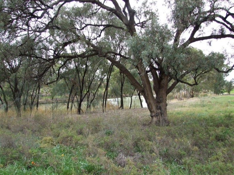 9 New Landing Way, Renmark SA 5341