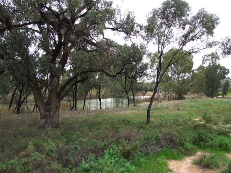 9 New Landing Way, Renmark SA 5341