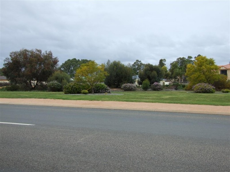 9 New Landing Way, Renmark SA 5341