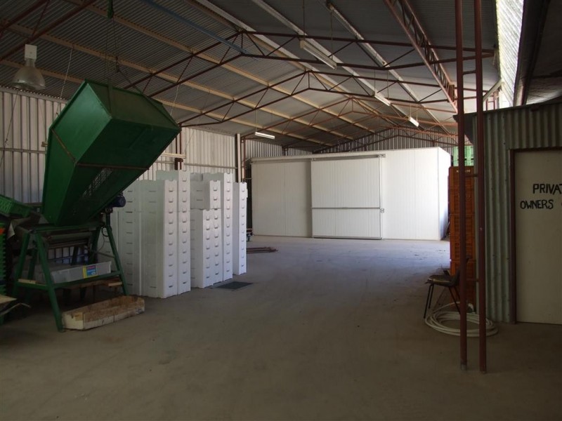 Lots 21 and 22 Carter Road, Waikerie SA 5330