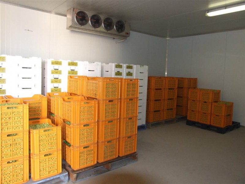 Lots 21 and 22 Carter Road, Waikerie SA 5330