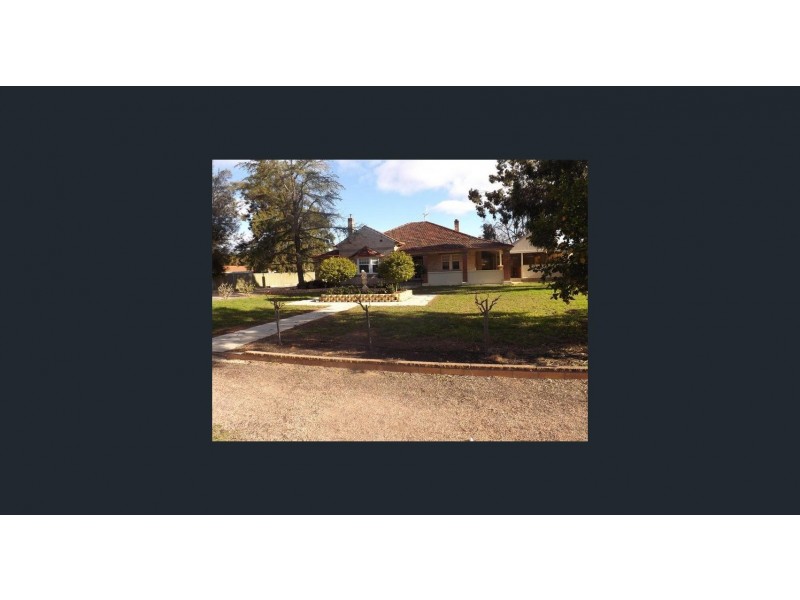167 Eighteenth Street, Renmark SA 5341